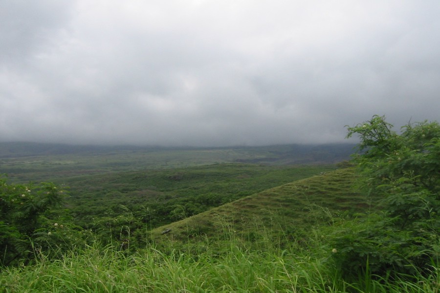 ../image/driving the back part of the road to hana.jpg